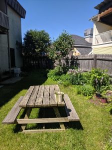 Backyard for breaks or events